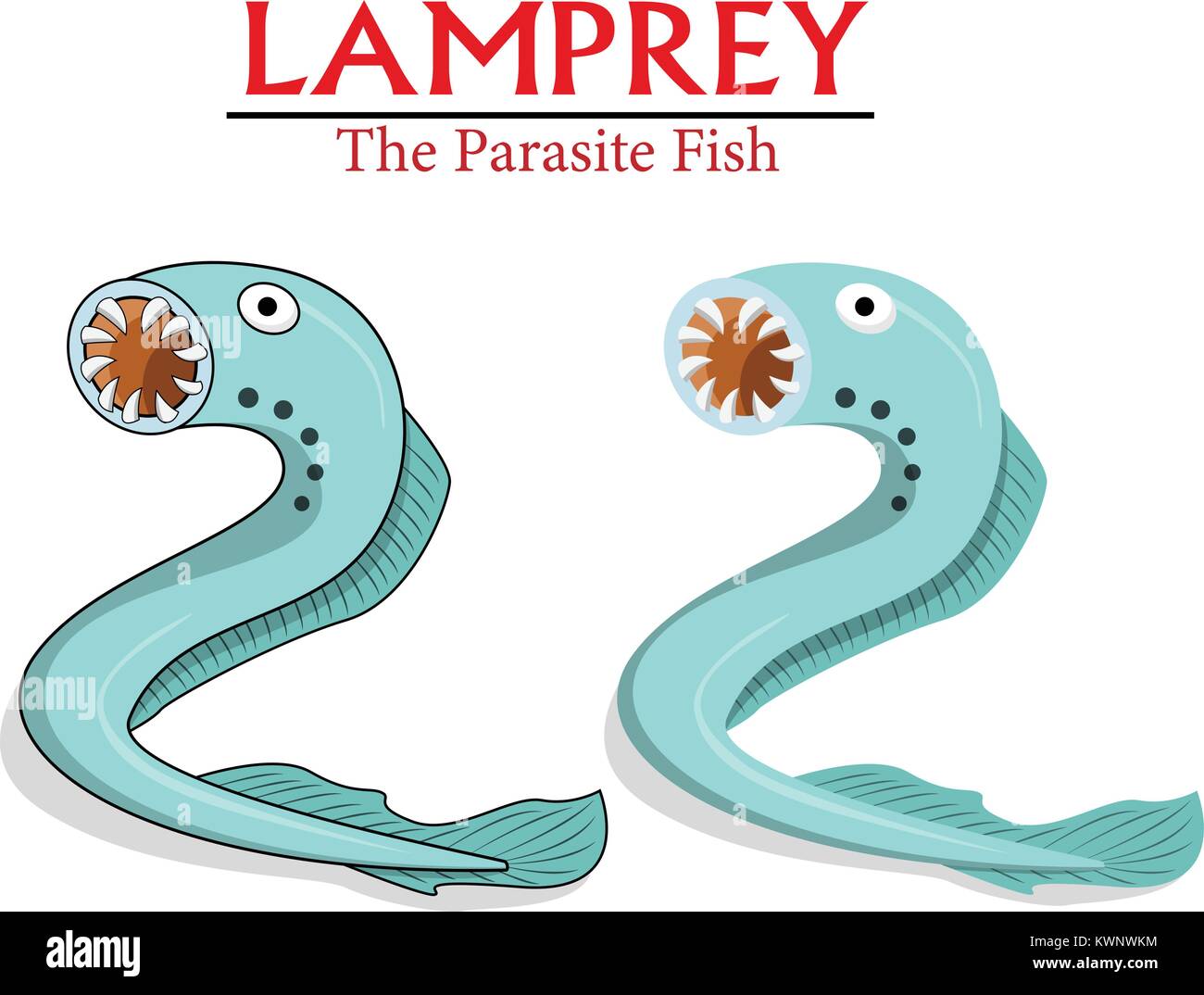 Lampreda ,il parassita di pesci nel vettore design cartoon Illustrazione Vettoriale