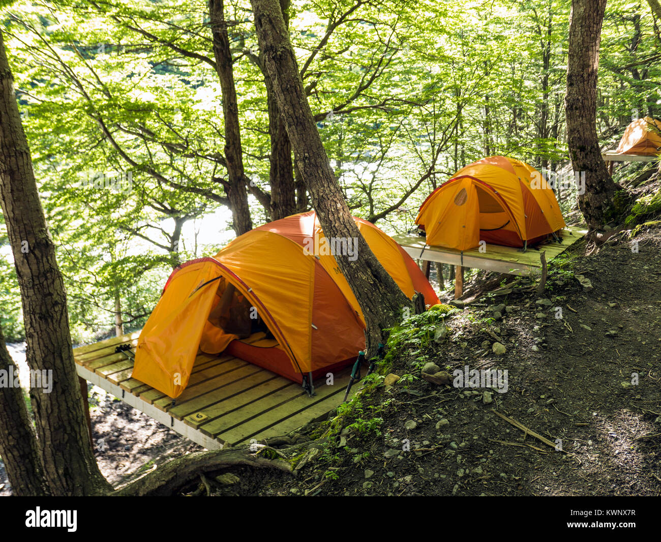 Piattaforma tende a El Chileno camp site; Parco Nazionale Torres del Paine; Cile Foto Stock