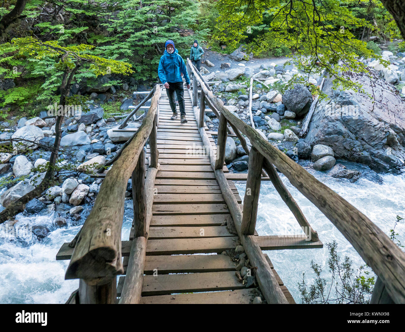 Trekker attraversando una passerella di legno in tutta Rio Ascencio; El Chileno camp site; Parco Nazionale Torres del Paine; Cile Foto Stock
