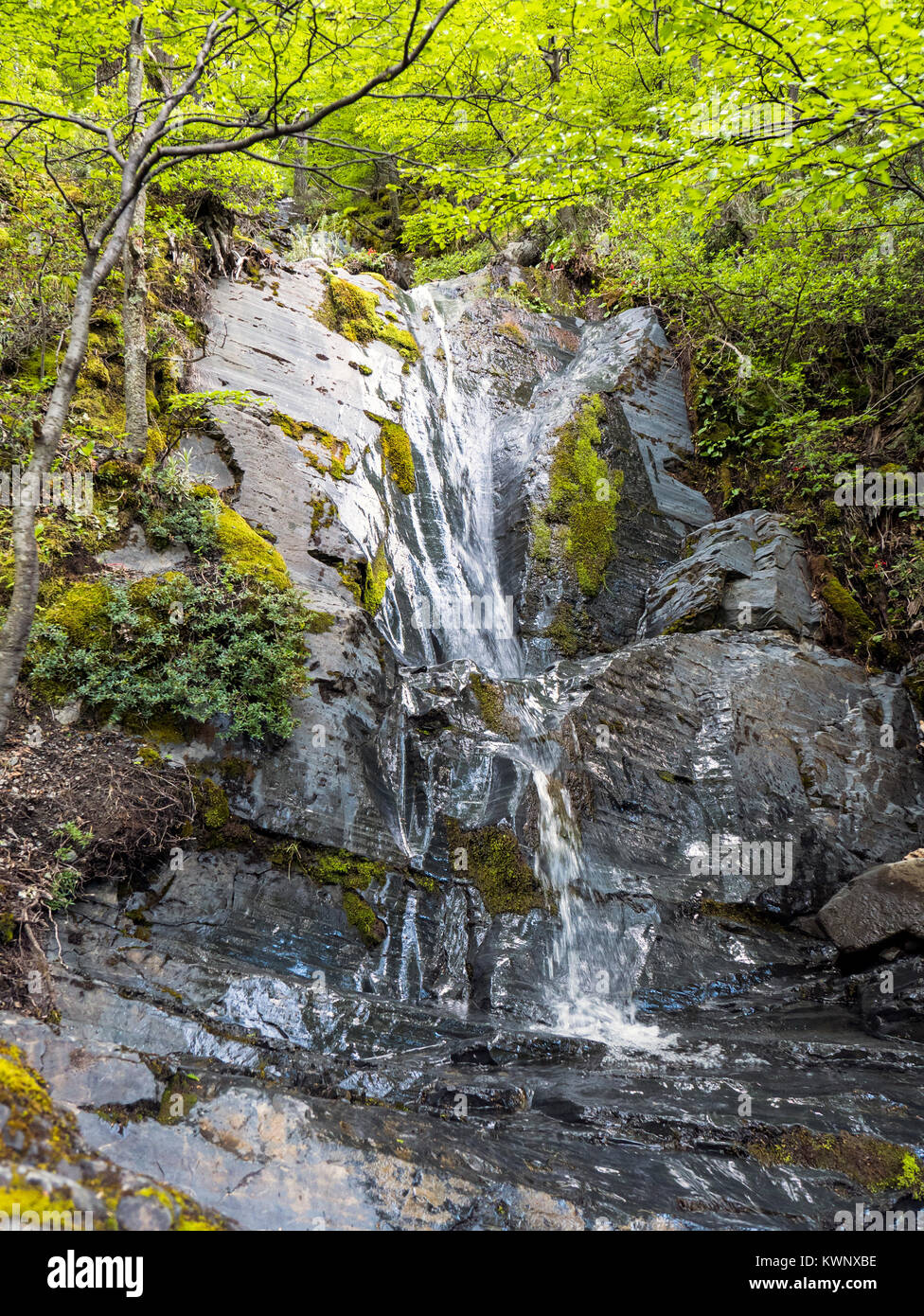 La cascata si svuota nel Rio Ascencio; vicino a El Chileno camp site; Parco Nazionale Torres del Paine; Cile Foto Stock