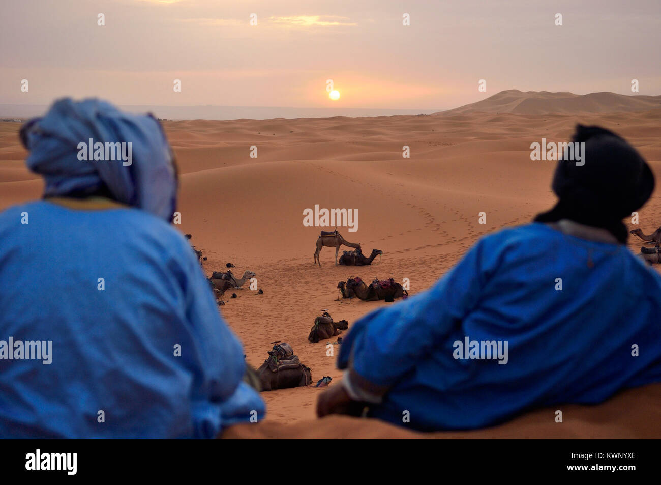 Dei berberi osservare il tramonto su una escursione in cammello alle dune di sabbia di Merzouga, Marocco, Africa del Nord Foto Stock