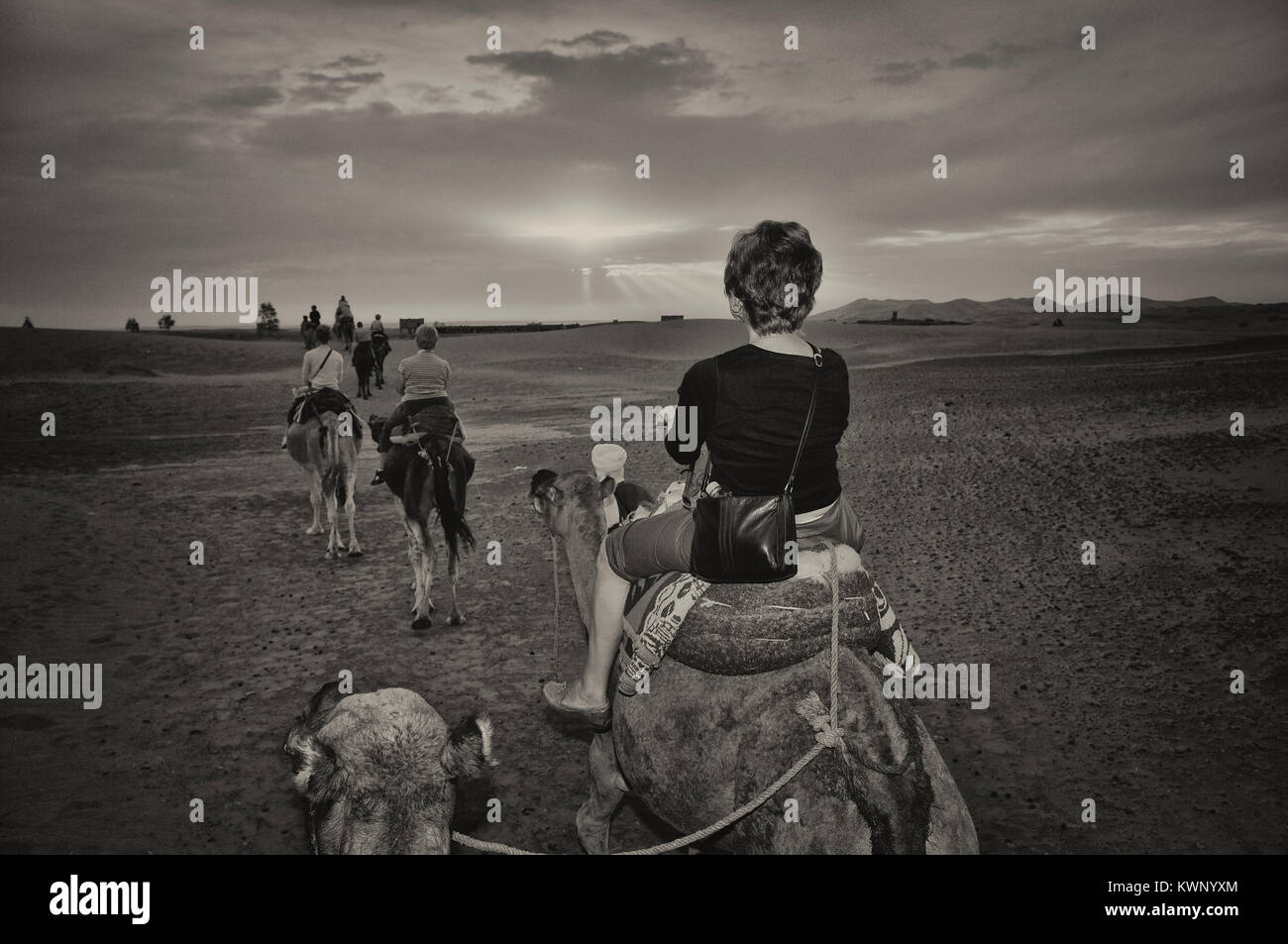 Escursione in cammello alle dune di sabbia di Merzouga, Marocco, Africa del Nord Foto Stock