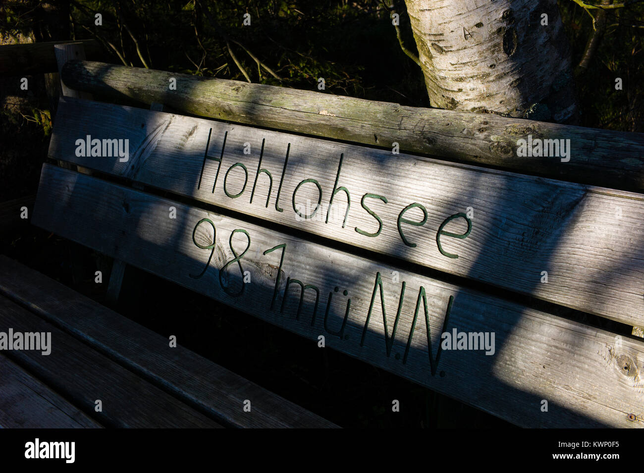 Hohlohsee bog vicino lago di Kaltenbronn Foresta Nera Baden-Württemberg, Germania Foto Stock