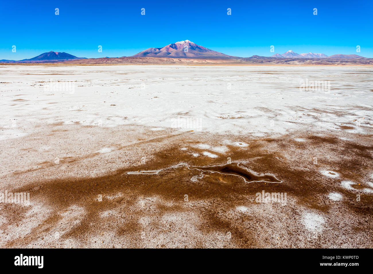 Stratovulcano Ollague nelle Ande, al confine tra la Bolivia e il Cile. Foto Stock