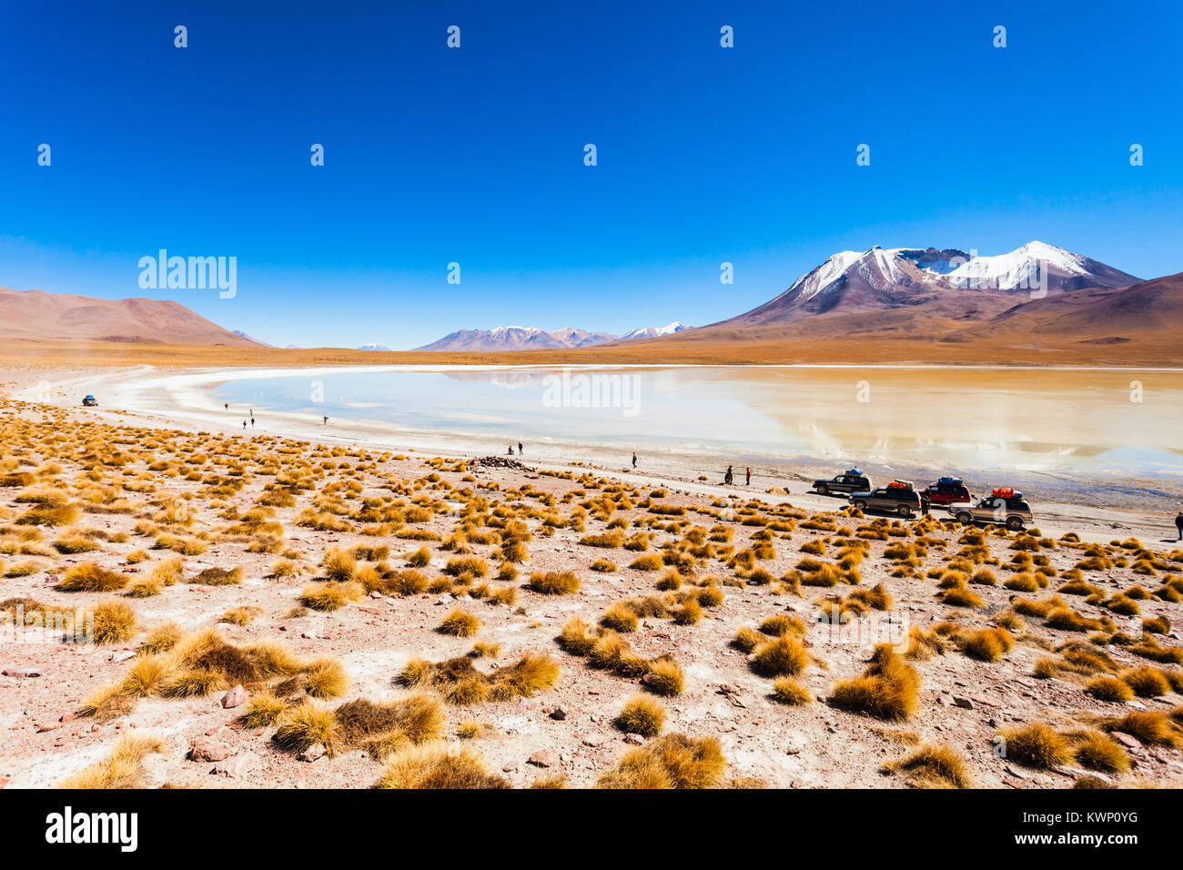 Laguna Canapa è un lago salato nel Altiplano della Bolivia Foto Stock