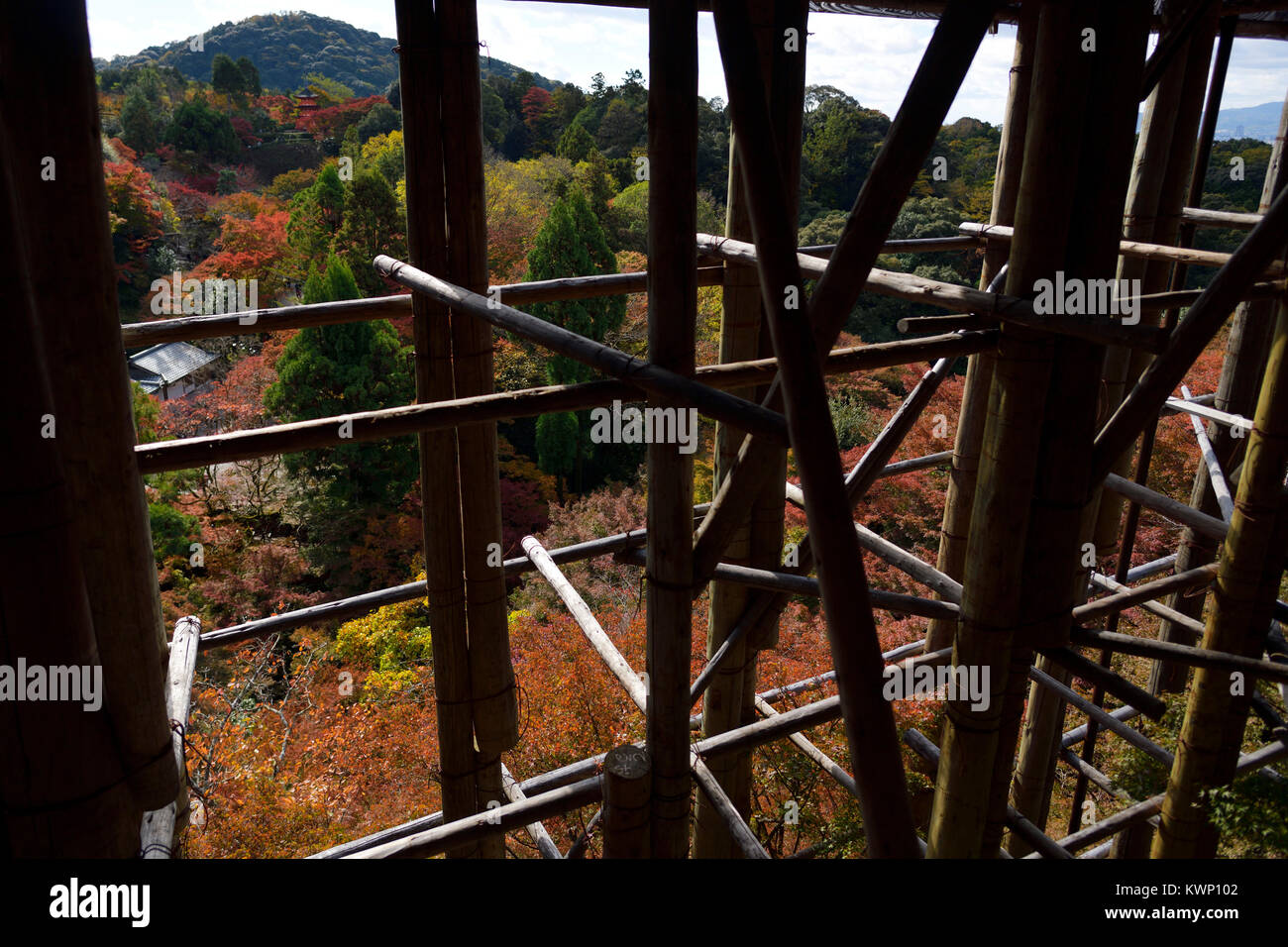 Supporto di alte colonne di legno di Kiyomizu-dera tempio di Kyoto, Giappone Foto Stock