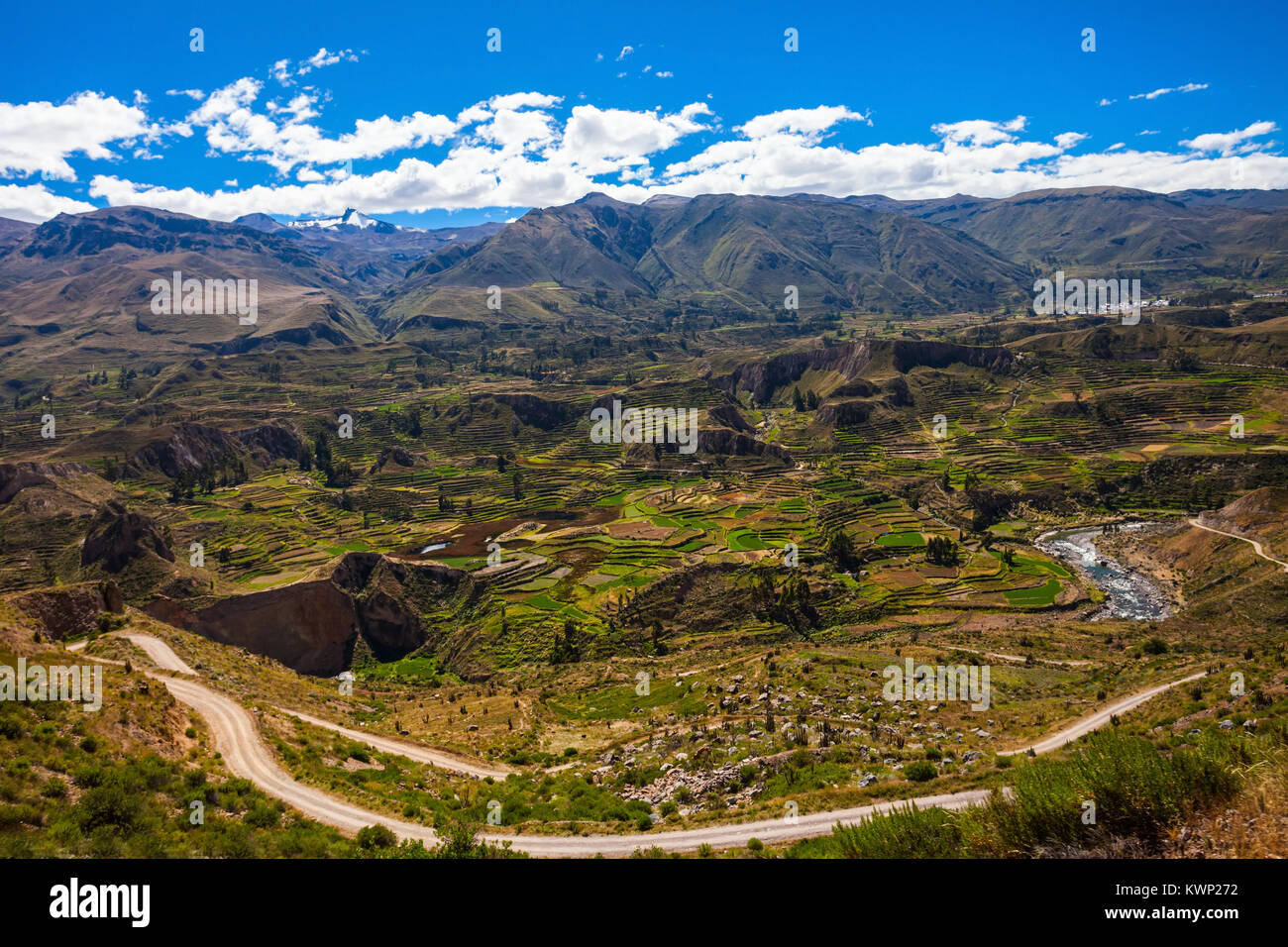Il Colca Valley si trova a un centinaio di chilometri a nord-ovest di Arequipa, Perù Foto Stock