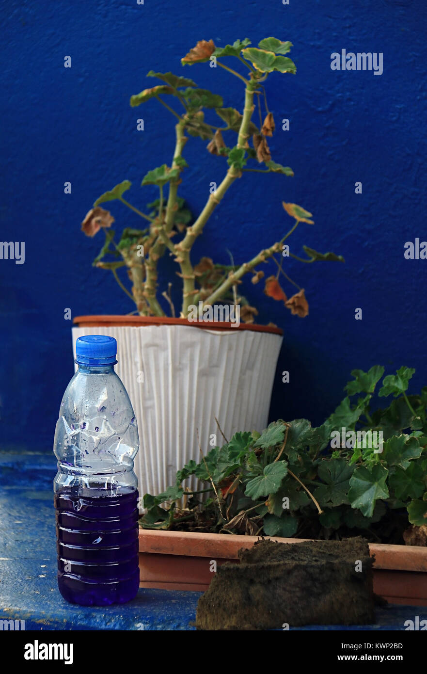 Una bottiglia di plastica di colore blu benzina su uno sfondo blu. Foto Stock