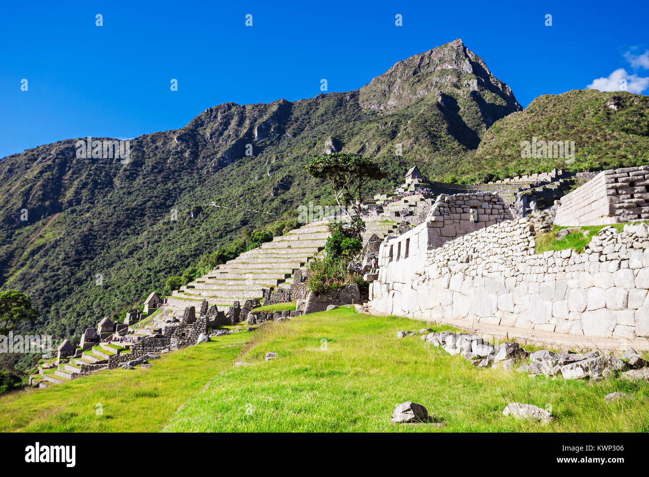 Machu Picchu città perduta di Inkas in Perù Foto Stock