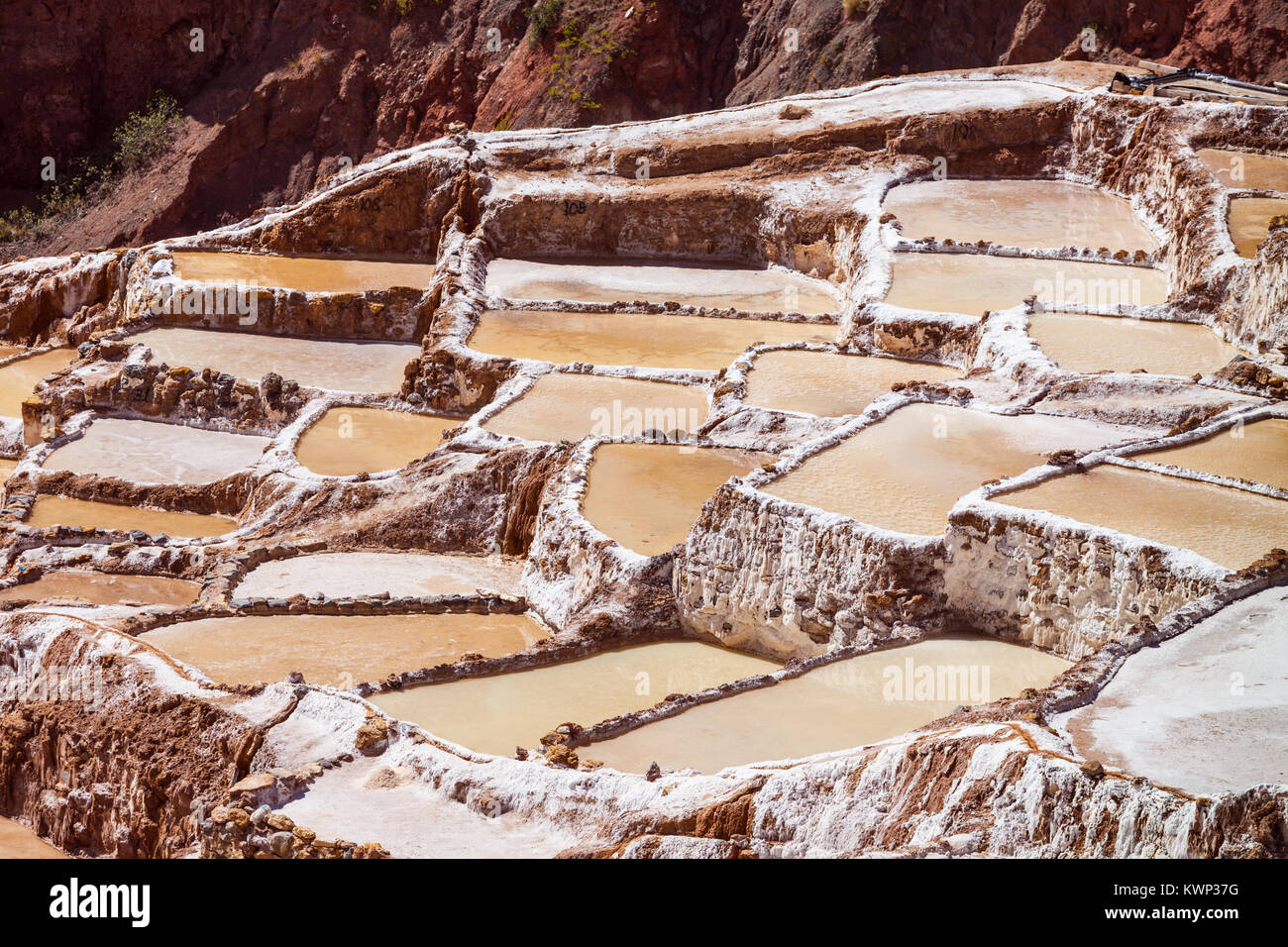 Salineras de Maras è una miniera di sale vicino a Cusco, Perù Foto Stock
