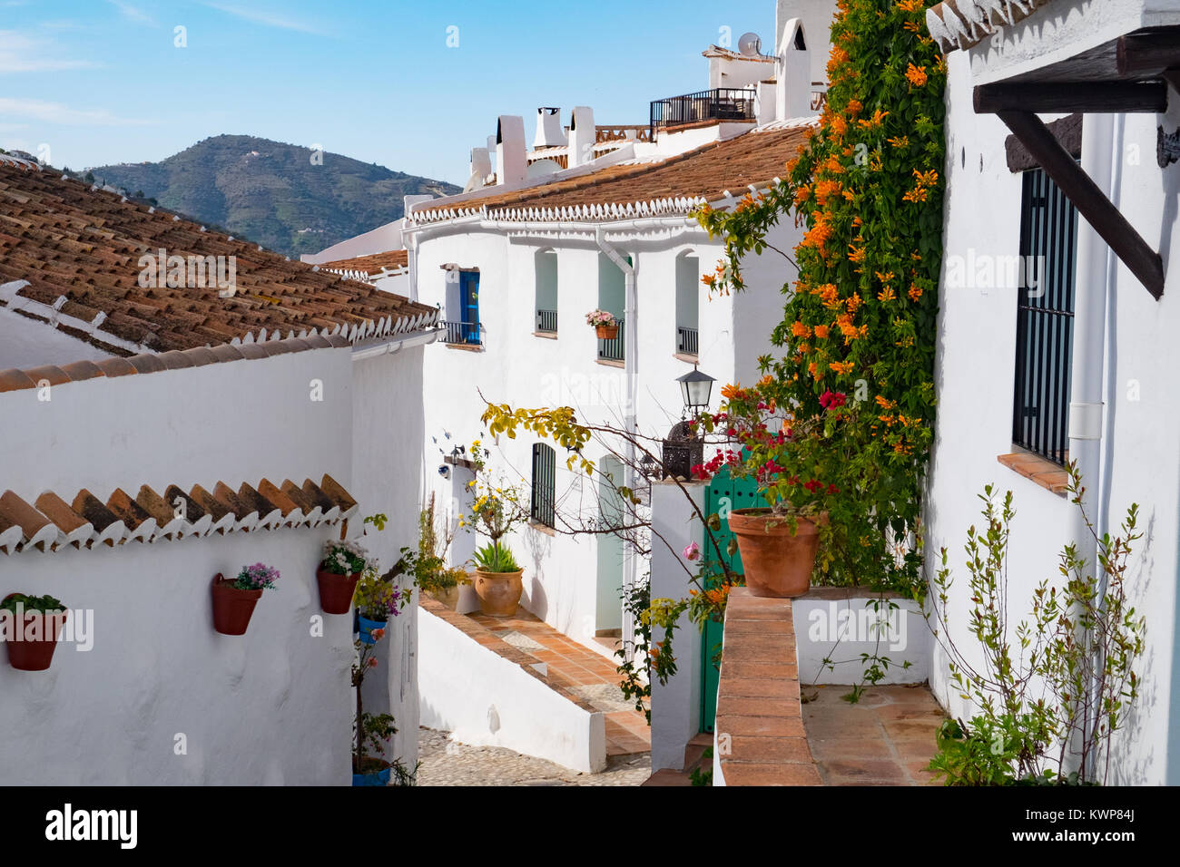 El Acebuchal, un villaggio bianco o peublo blanco, nella regione dell'Andalusia a est di Malaga. Una volta abbandonato il borgo è stato recentemente restaurato. Foto Stock