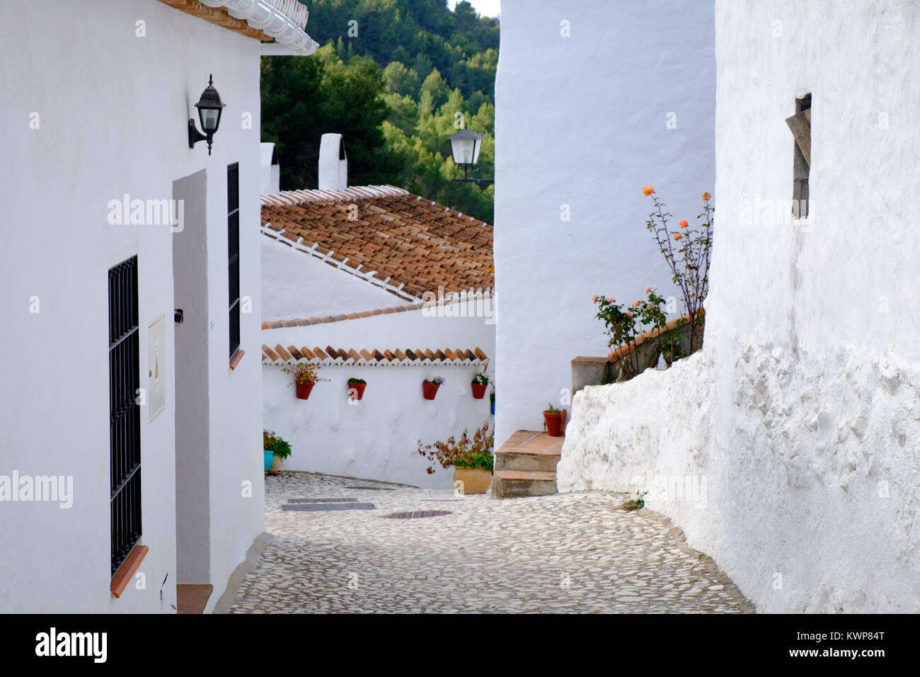 El Acebuchal, un villaggio bianco o peublo blanco, nella regione dell'Andalusia a est di Malaga. Una volta abbandonato il borgo è stato recentemente restaurato. Foto Stock