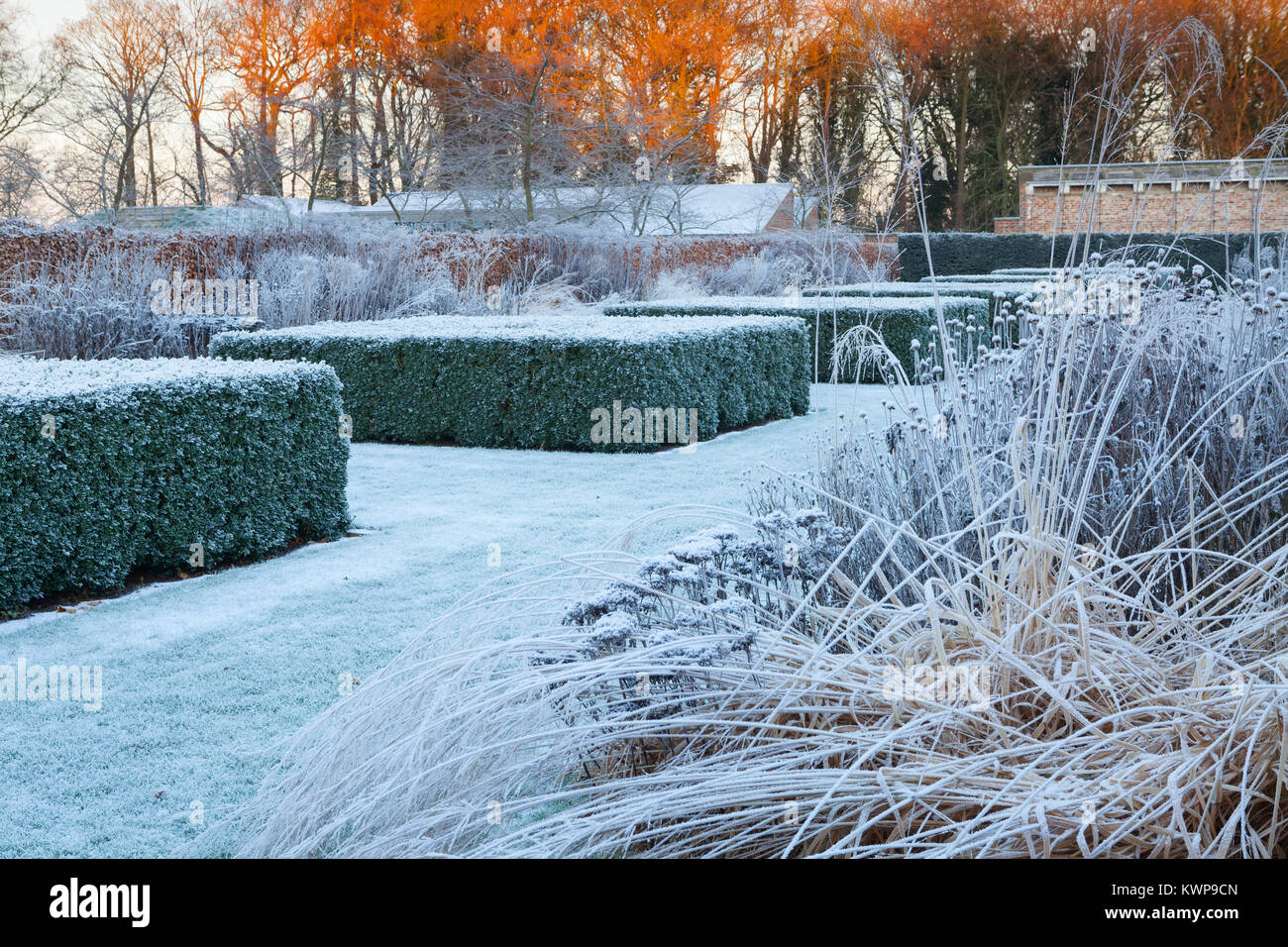 Scampston Walled Garden, North Yorkshire, Regno Unito. Inverno, dicembre 2017. Un quattro acri di giardino contemporaneo disegnato da Piet Oudolf. Foto Stock
