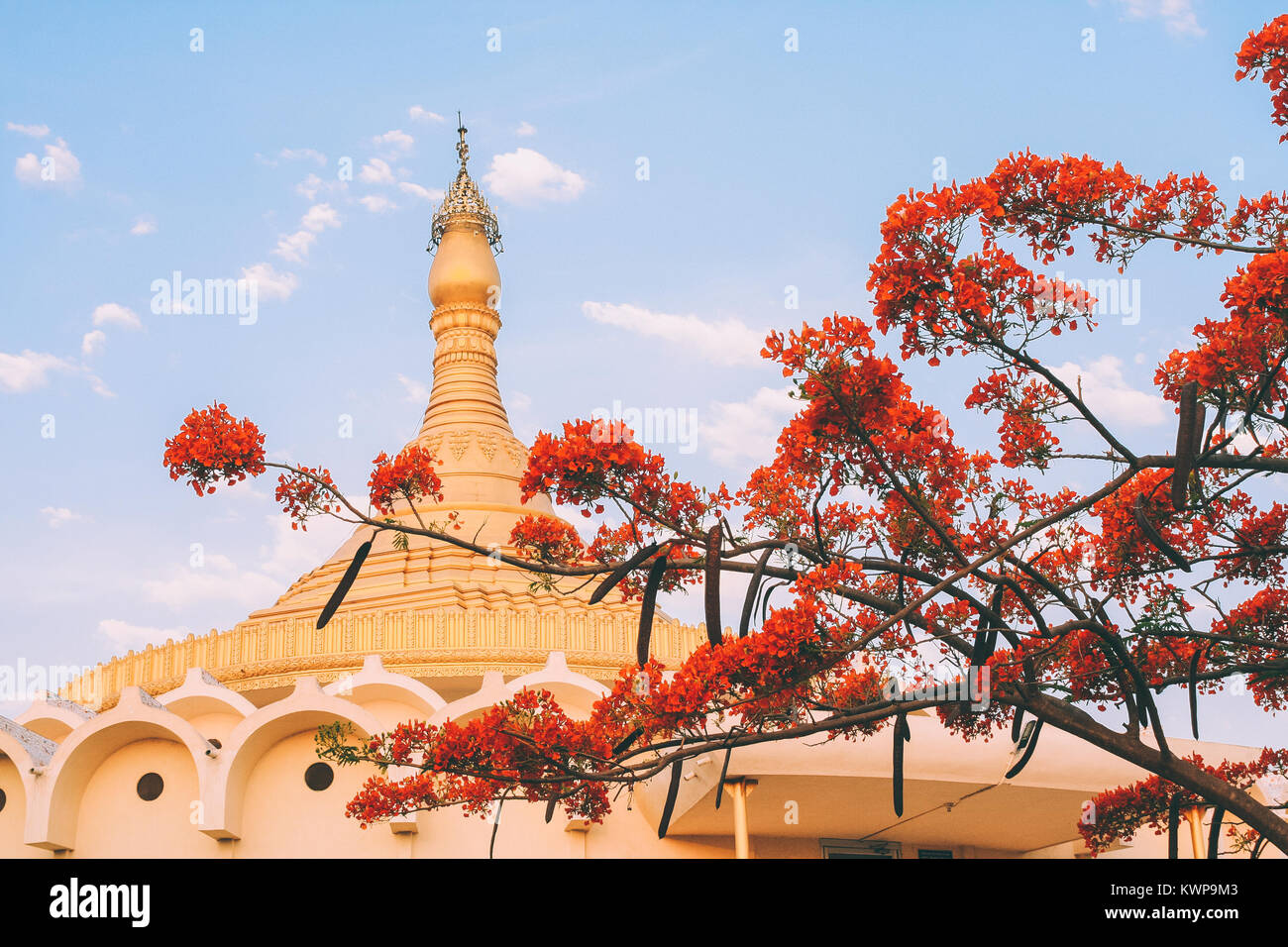 Architettura della bella indiano antico tempio e fiorito albero Foto Stock