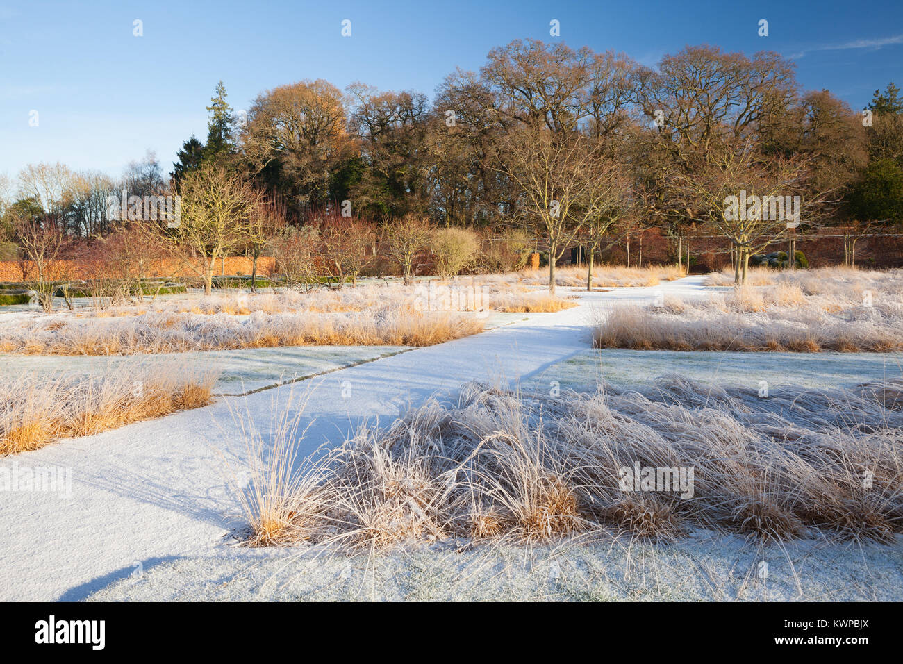 Scampston Walled Garden, North Yorkshire, Regno Unito. Inverno, dicembre 2017. Un quattro acri di giardino contemporaneo disegnato da Piet Oudolf. Foto Stock