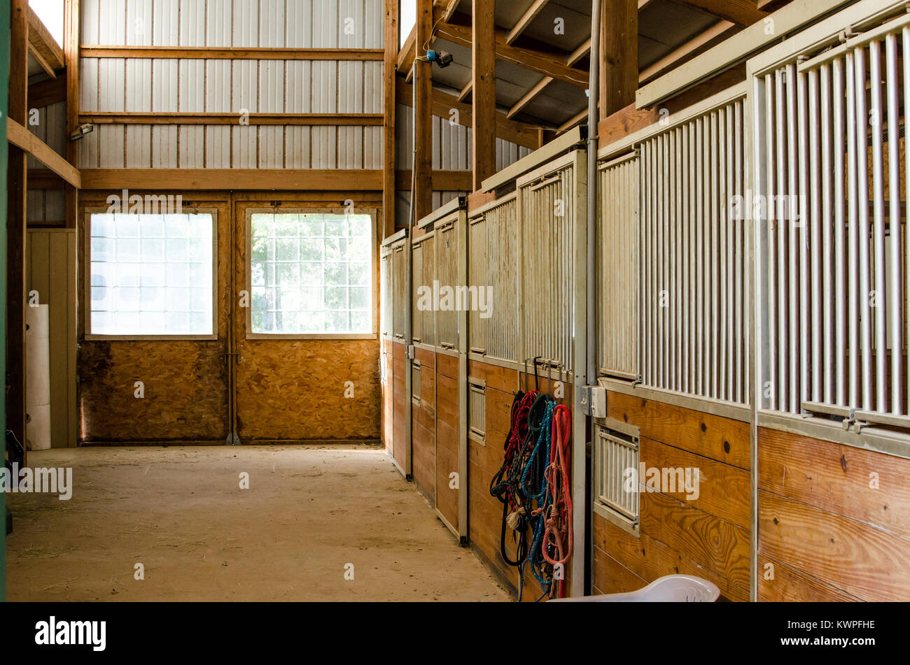 Inclinazione Oak Ranch Horse Barn, Saint Jo Texas Foto Stock