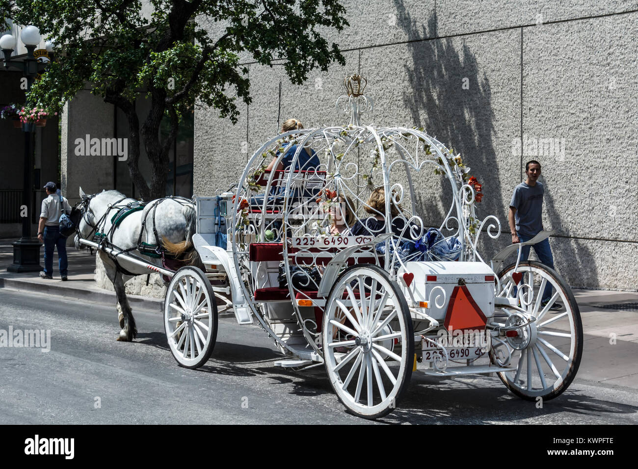 Carro trainato da cavalli di San Antonio, Texas, Stati Uniti d'America Foto Stock