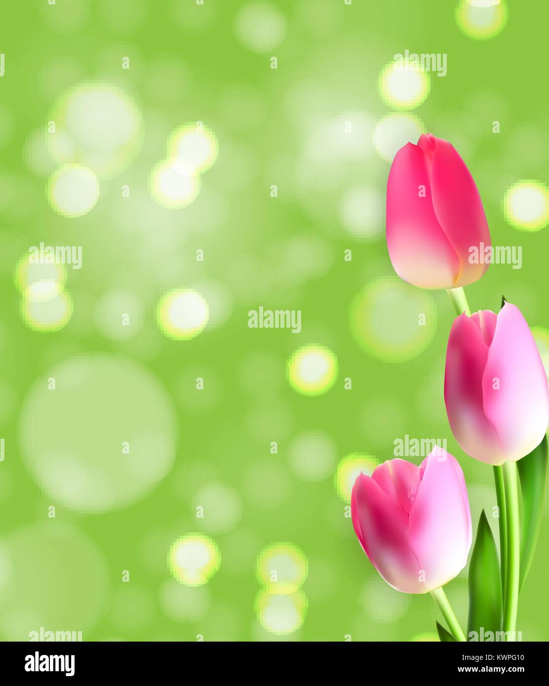 La primavera e l'estate Tulip Flower sfondo naturale. Illustrazione Vettoriale Illustrazione Vettoriale