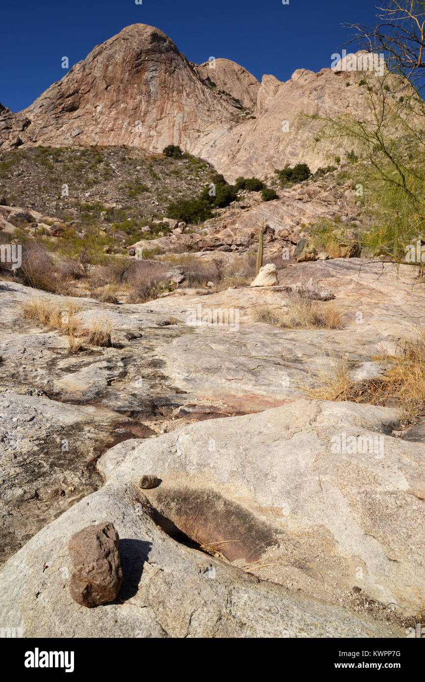Mole di rettifica utilizzato dai primi nativi americani per preparare il cibo si trovano a Mendoza Canyon, Coyote montagne area selvaggia, Deserto Sonoran, Arizon Foto Stock