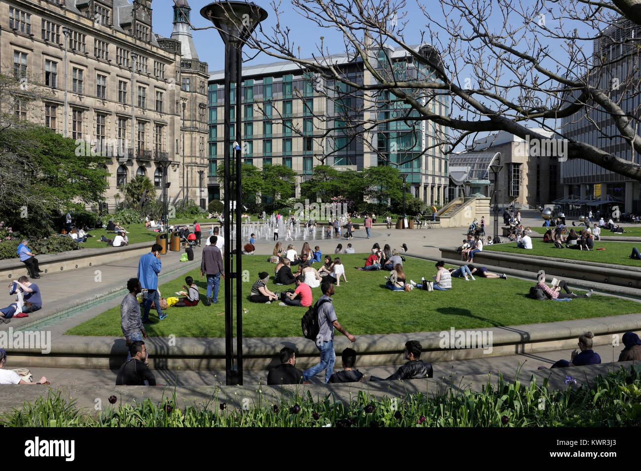 Peace Gardens e il municipio, il centro della città di Sheffield, Regno Unito Foto Stock