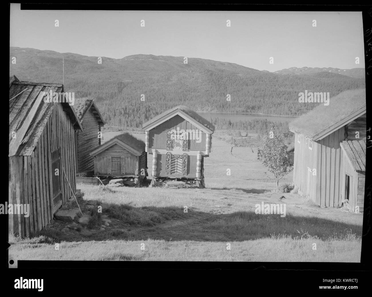 Questa fotografia di Rauland, Norvegia, cattura il paesaggio della regione, famosa per la sua bellezza naturale. Rauland è ben nota per la sua storia culturale e l'atmosfera rurale, offrendo una panoramica delle caratteristiche ambientali della campagna norvegese. Foto Stock