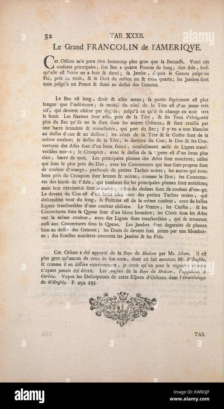 Un'illustrazione zoologica del Recueil de divers oiseaux étrangers et peu communs, pagina 32, raffigurante uccelli rari ed esotici in incisioni dettagliate da utilizzare nello studio di storia naturale del XVIII secolo. Foto Stock