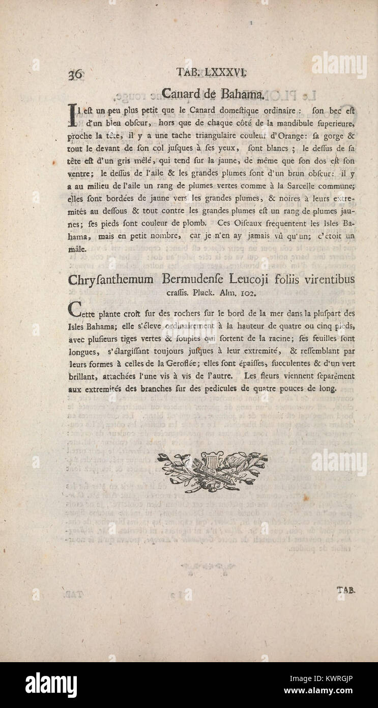 L'illustrazione tratta da un testo ornitologico storico presenta specie di uccelli rare e straniere, enfatizzando i loro tratti fisici e la classificazione scientifica. Foto Stock