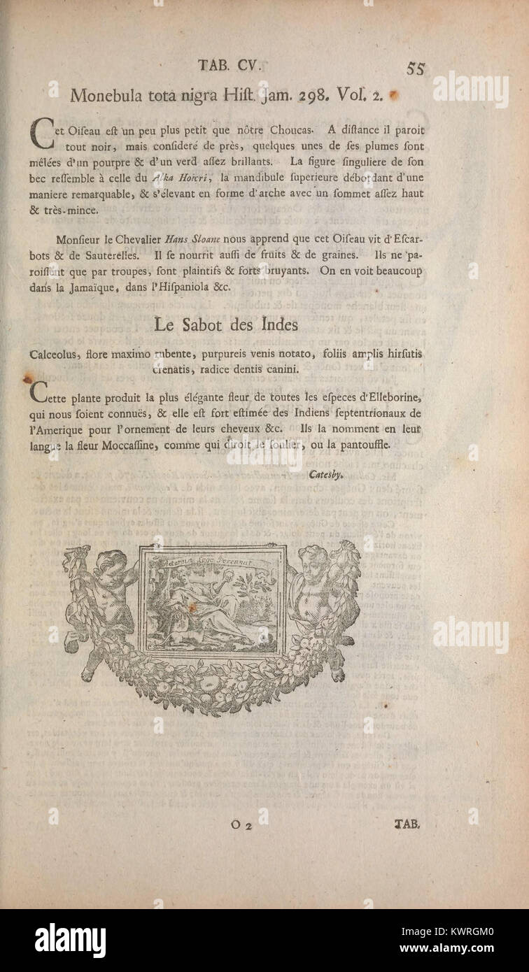 Un'illustrazione zoologica della collezione del XVIII secolo Recueil de divers oiseaux étrangers et peu communs, pagina 55, che mostra specie di uccelli rari ed esotici in dettagliate incisioni colorate a mano per la documentazione di storia naturale. Foto Stock