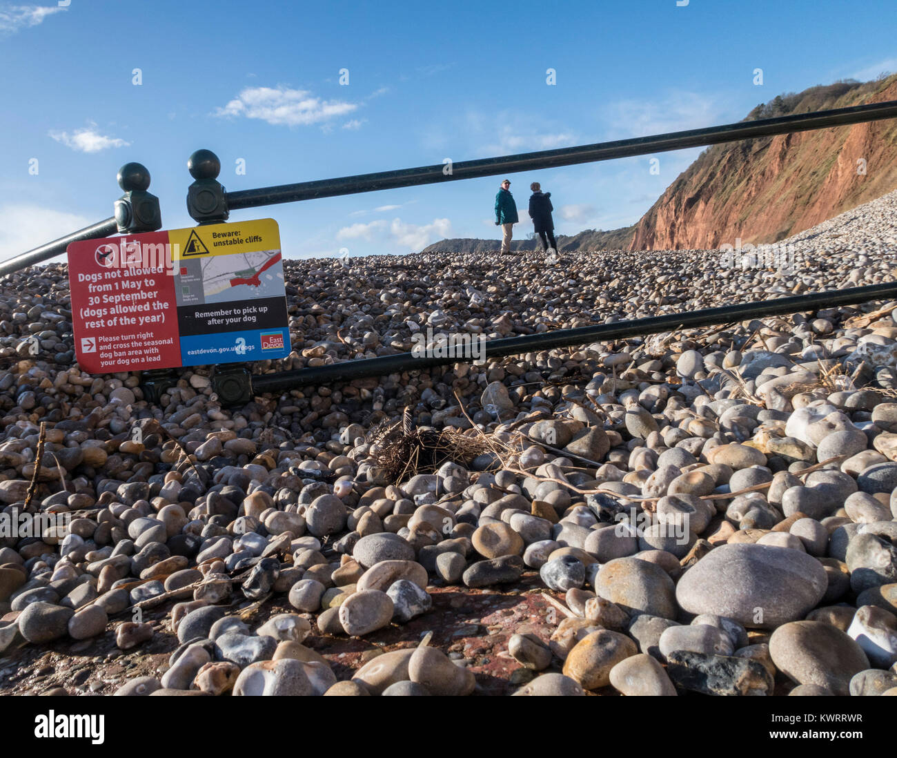 Sidmouth, Devon. Gen 5, 2018. Regno Unito Meteo: ringhiere intorno al West Beach a Sidmouth sono quasi sepolto sotto la roccia argillosa dopo tempesta Eleanor defunti. Credit: Foto centrale/Alamy Live News Foto Stock