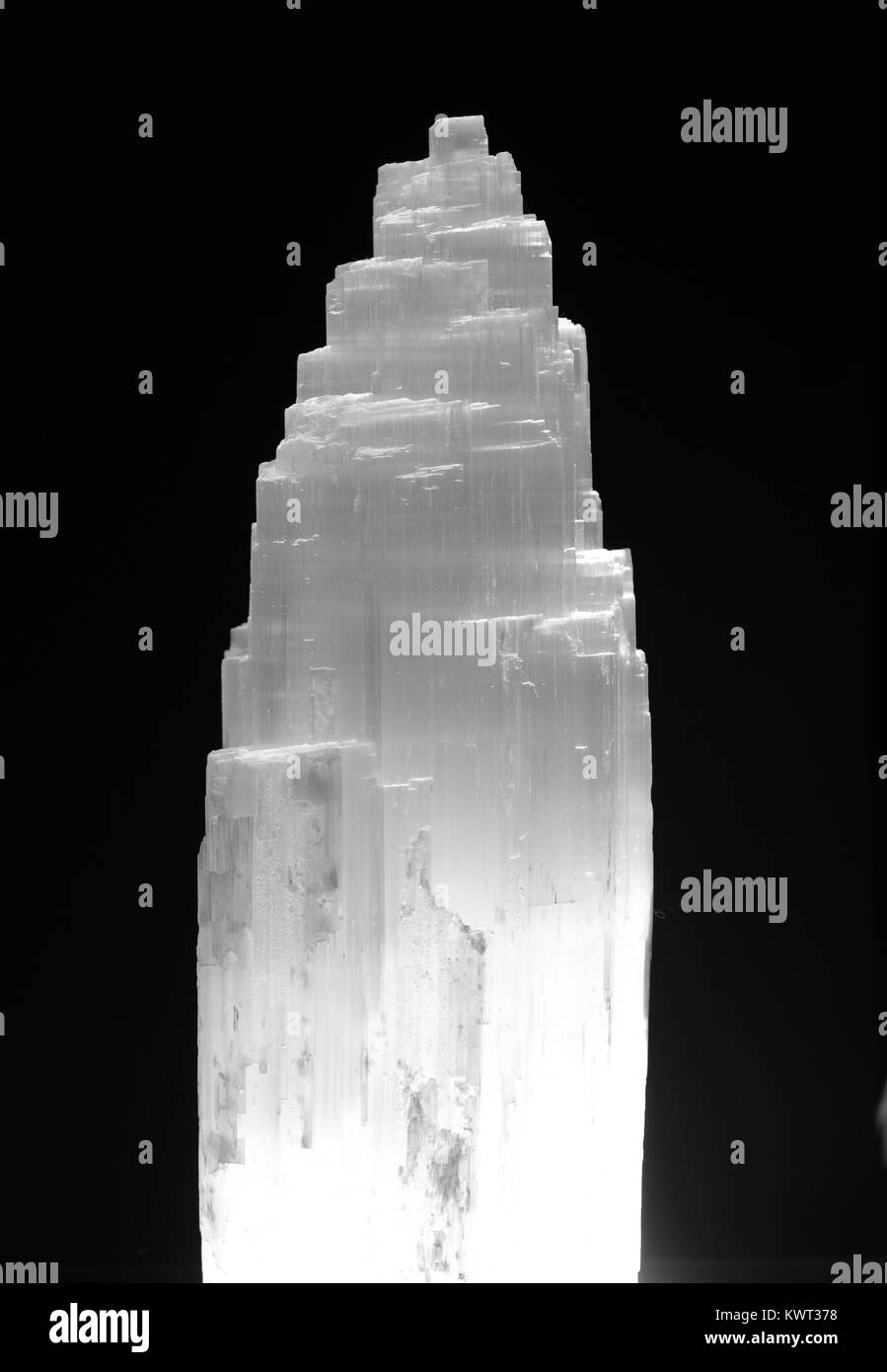 Torre Seletine, cristalli di gesso minerale. Close up, pallido traslucido campione della geologia. Devon, Regno Unito. Gennaio, 2018. Foto Stock