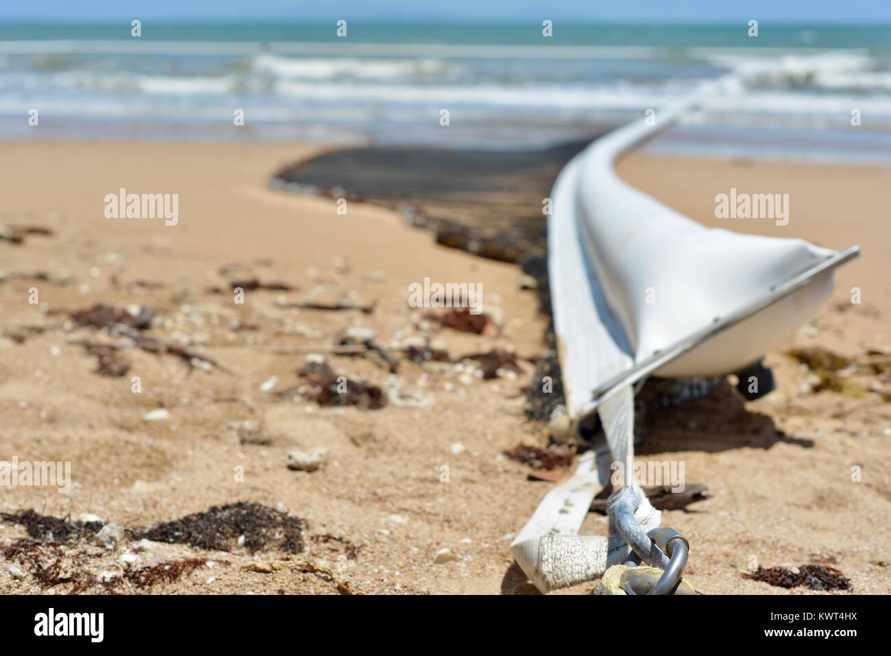 Bagal spiaggia vicino a Townsville, Queensland, Australia Foto Stock