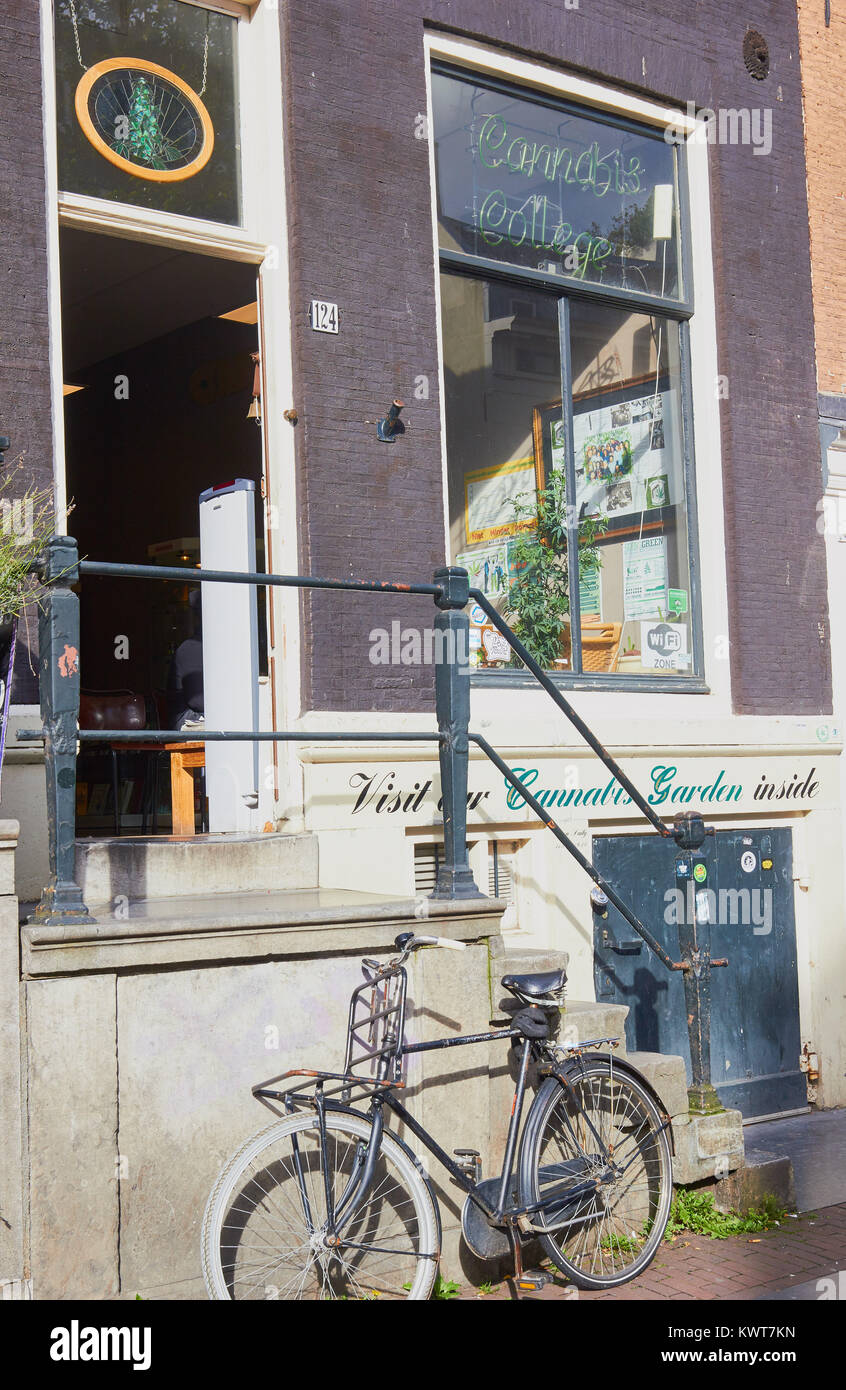 La Cannabis College, Amsterdam, Paesi Bassi. Offre un servizio gratuito di consulenza sulla sicurezza di impiego di medicinali e ricreativo della Cannabis e ha una piscina giardino di cannabis Foto Stock