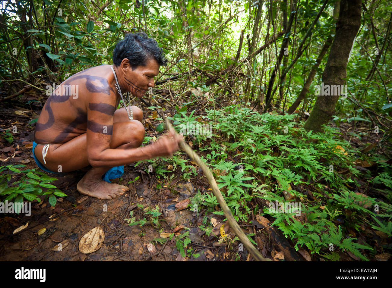 Anselmo, il medico botanico nel villaggio Embera, Rio Pequeni, Repubblica di Panama. Foto Stock