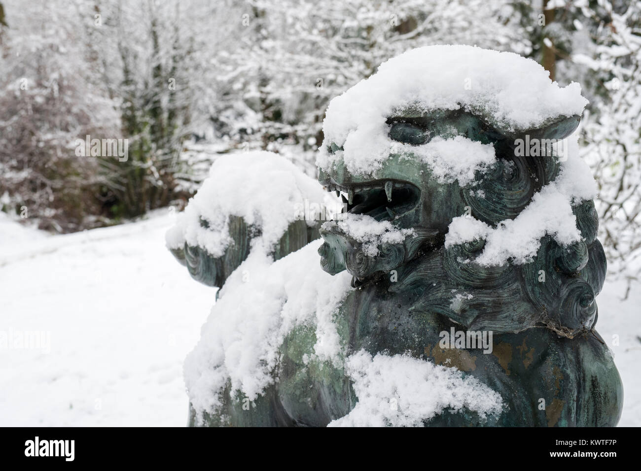 Cinese cane pippo statua in bronzo e inverno alberi nella neve in dicembre a Batsford Arboretum, Cotswolds, Moreton-in-Marsh, Gloucestershire, Inghilterra Foto Stock