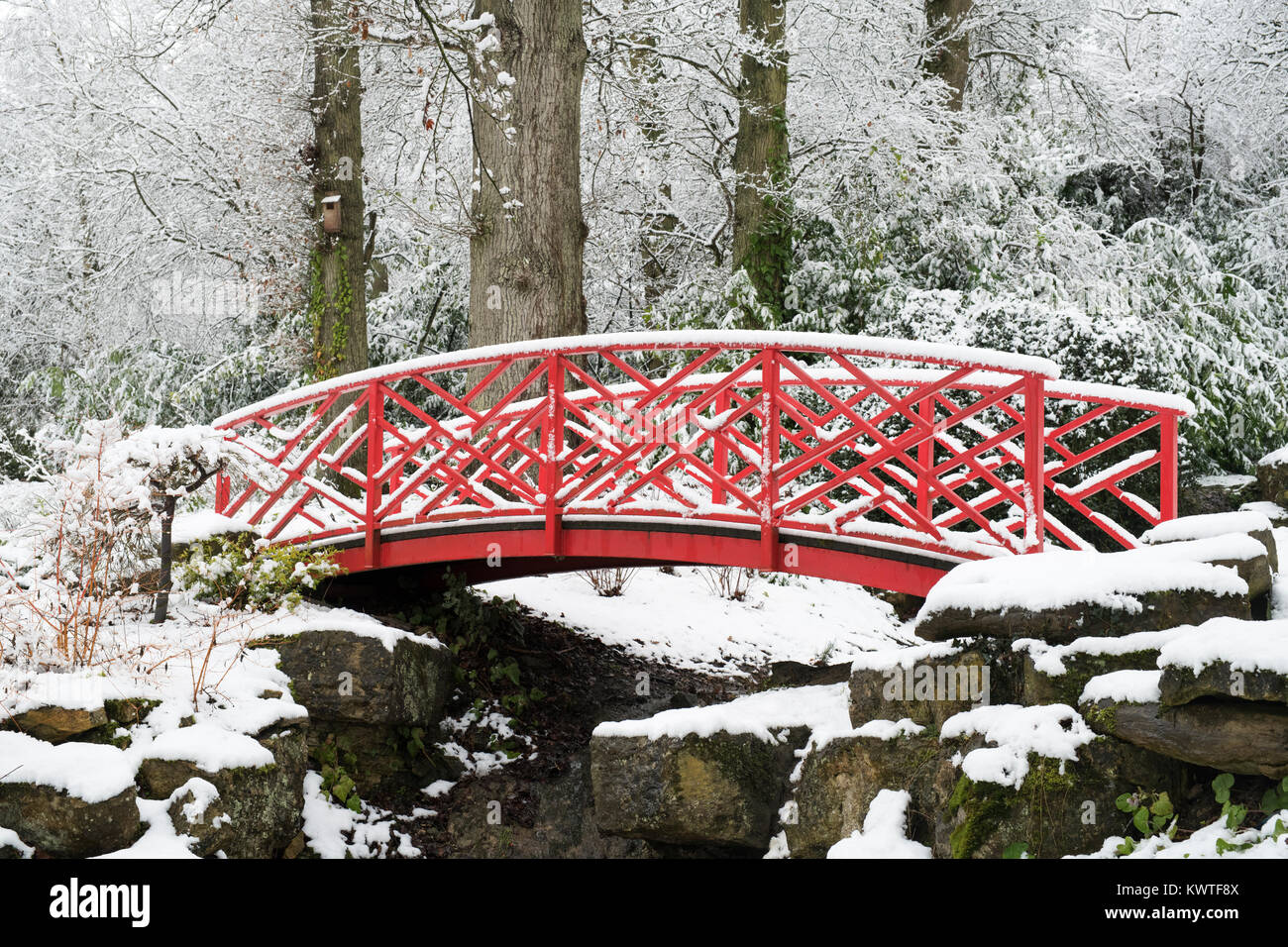 Ponte giapponese e inverno alberi nella neve in dicembre a Batsford Arboretum, Cotswolds, Moreton-in-Marsh, Gloucestershire, Inghilterra Foto Stock
