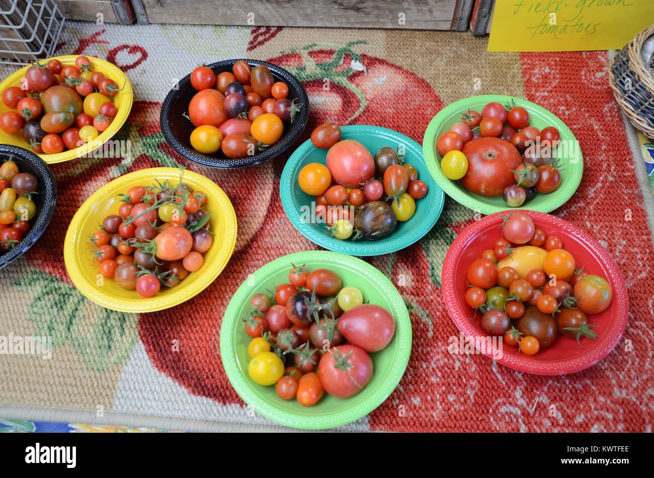 Santa Fe farmers market NUOVO MESSICO USA Foto Stock