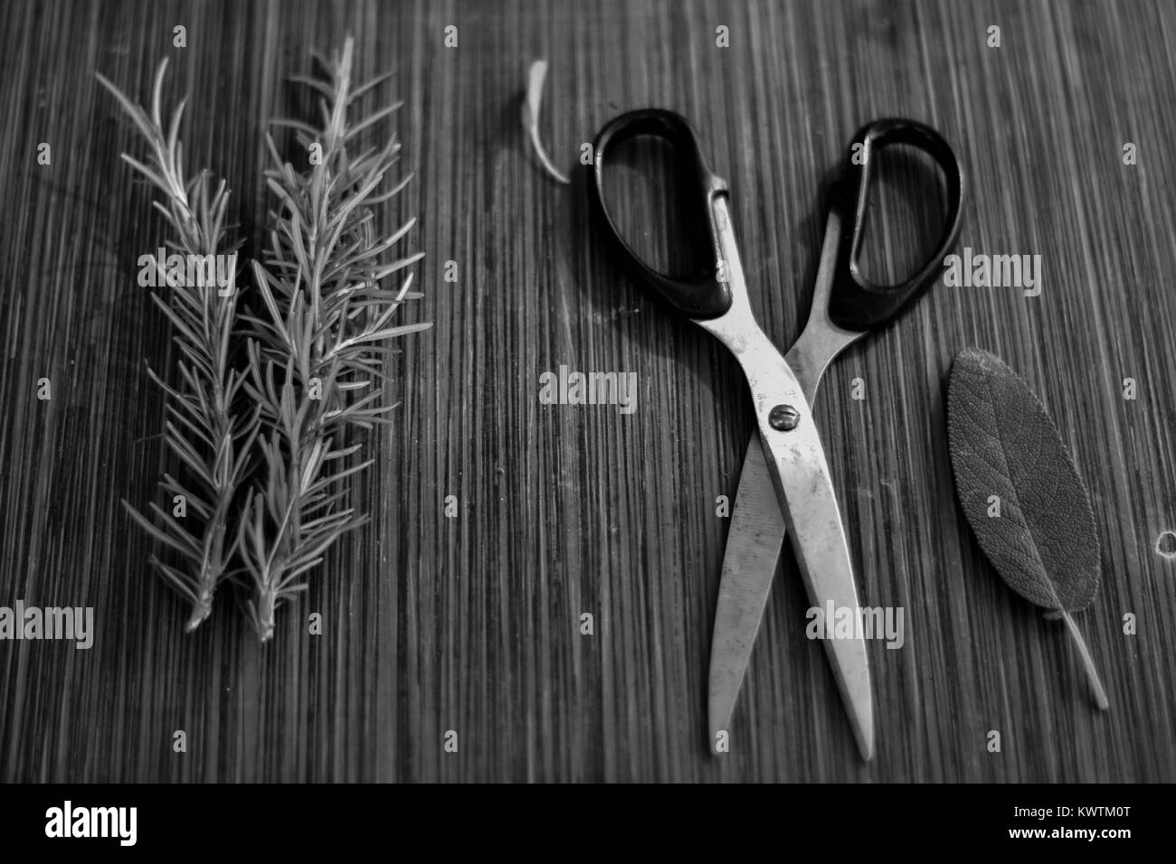Forbici e laici piatta con erbe fresche e verde per l'asciugatura e rendendo le spezie impostato su cucina in legno sfondo Foto Stock
