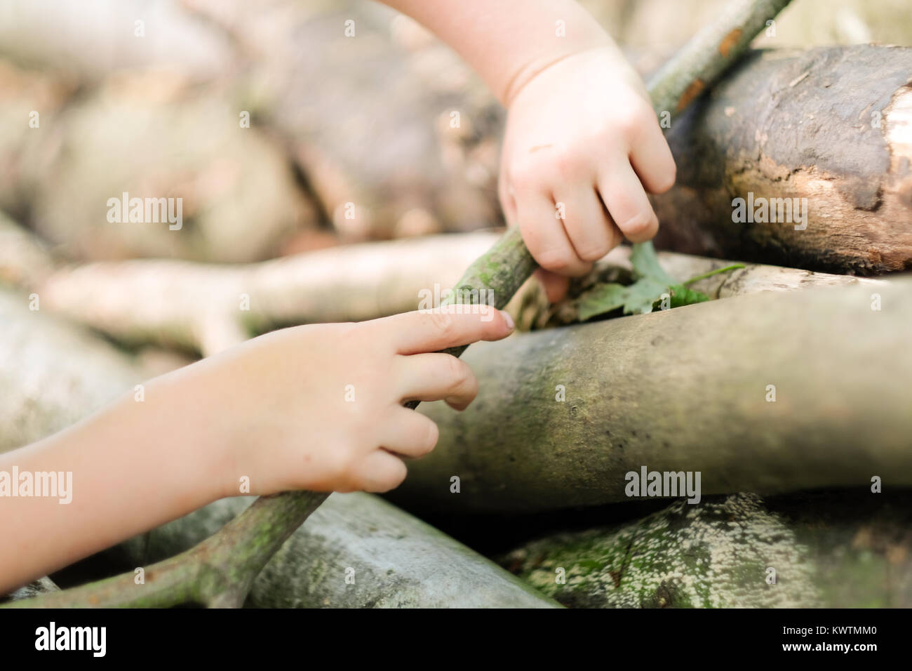 Un bambino con le mani in mano a giocare con bastoni all'aperto Foto Stock