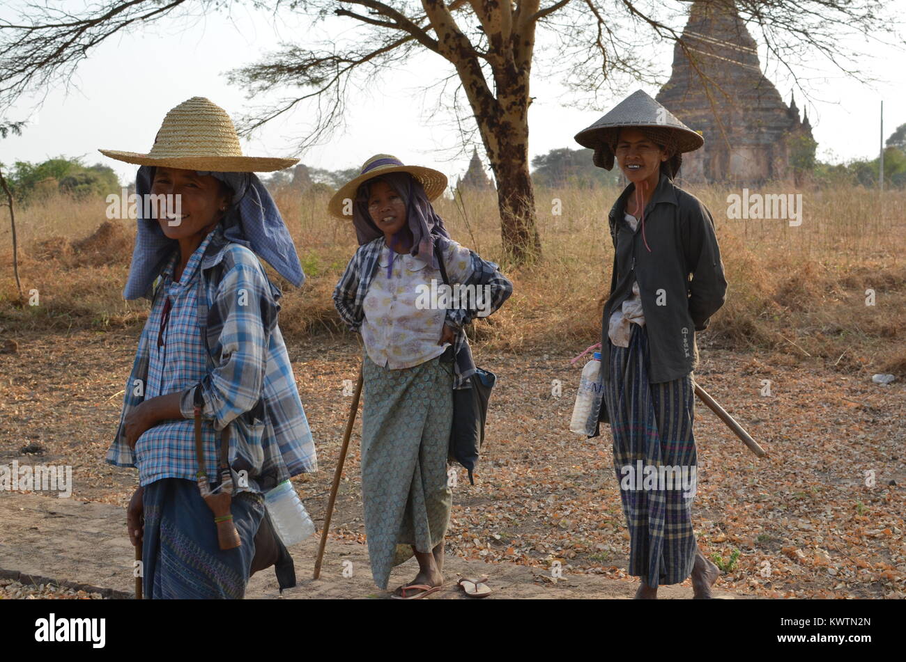 Pastore birmano le donne pongono mentre l'allevamento del bestiame come routine quotidiana attorno al vecchio Bagan complesso. Foto Stock