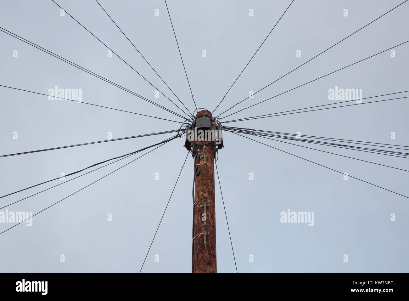 I cavi telefonici fanning fuori da un palo del telegrafo Foto Stock