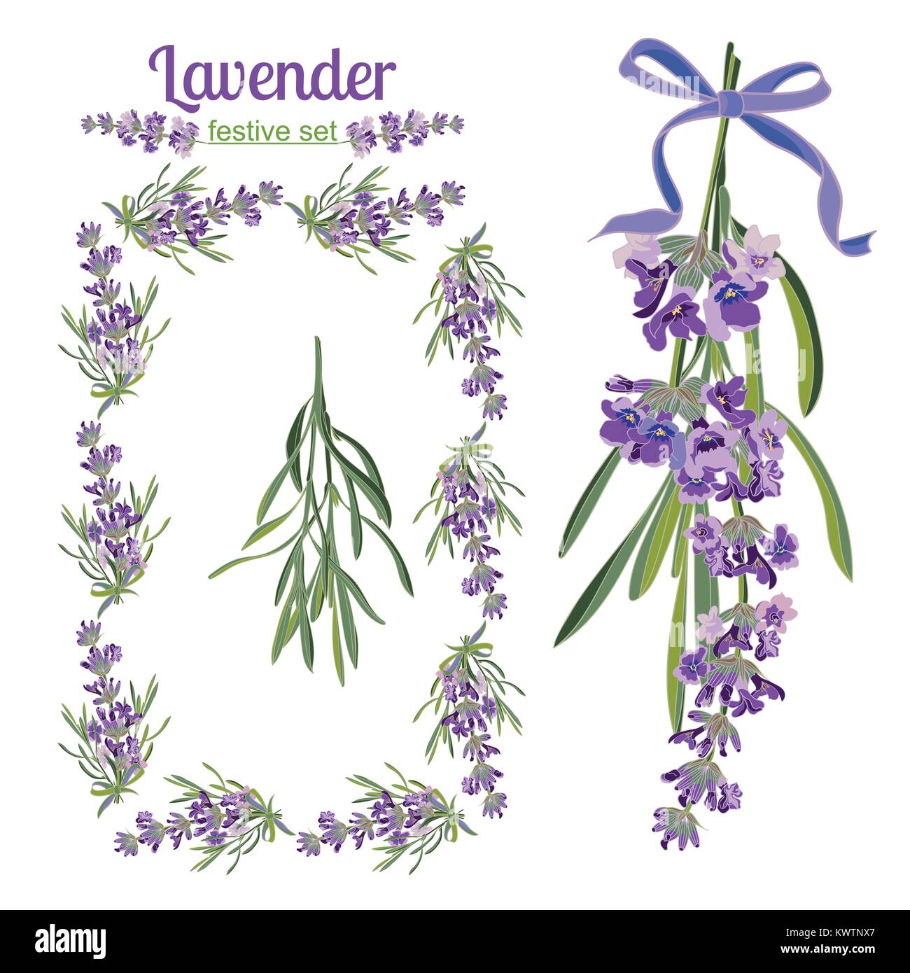 Set di cornici di festa e di elementi con fiori di lavanda per biglietto di auguri. Illustrazione botanica sono disegnati a mano Illustrazione Vettoriale