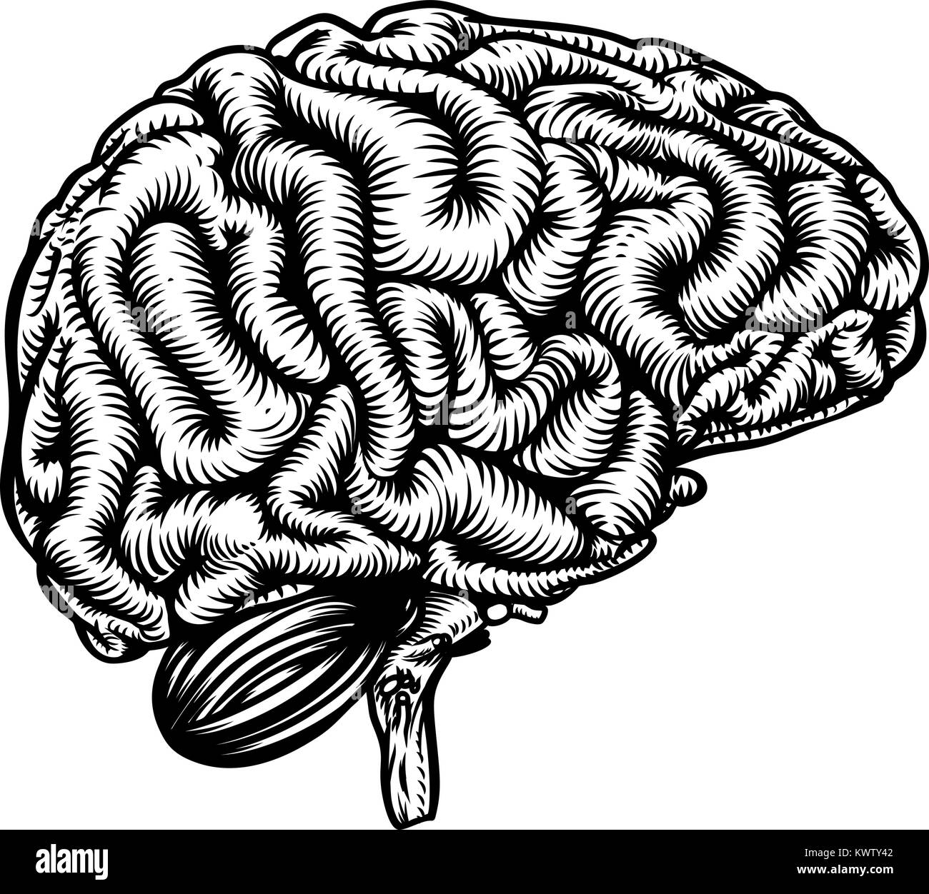 Cervello umano rétro in stile vintage Illustrazione Vettoriale