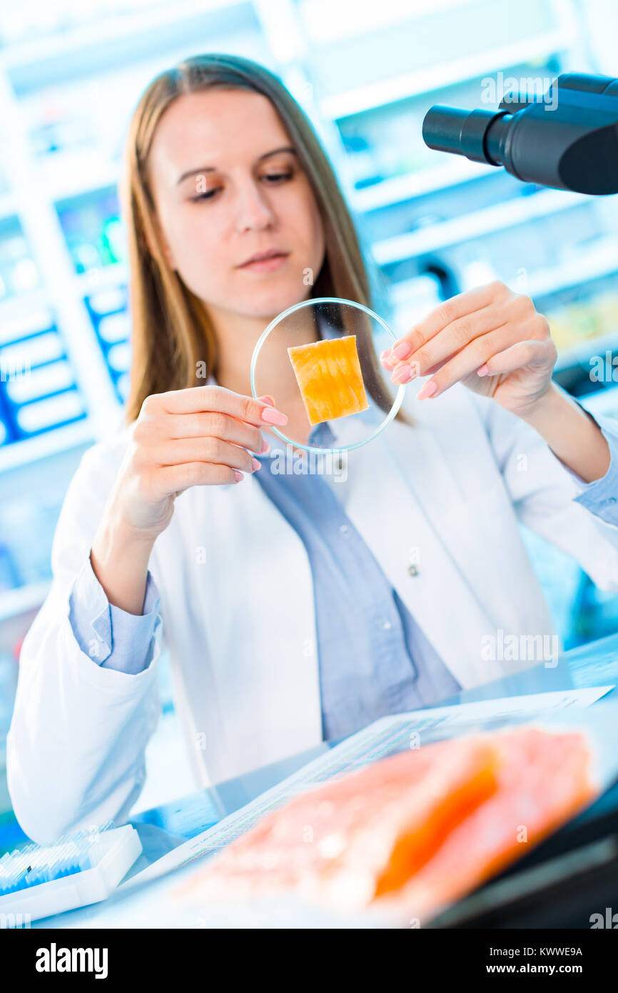 Ricerca di pesce in laboratorio. Per la lavorazione degli alimenti e il controllo di qualità di pesce Foto Stock
