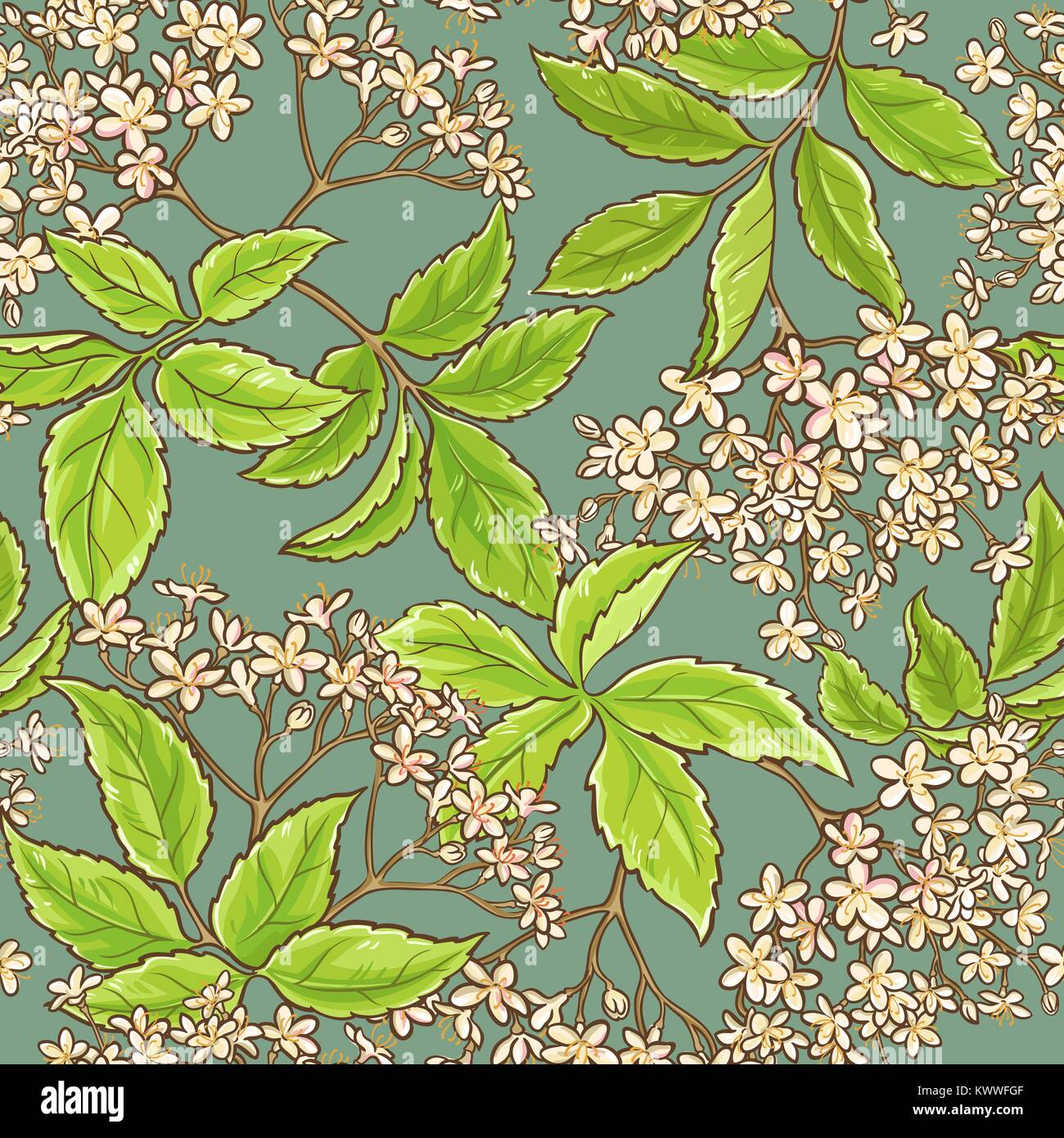 Lâ elderflower vector seamless pattern sul colore di sfondo Illustrazione Vettoriale