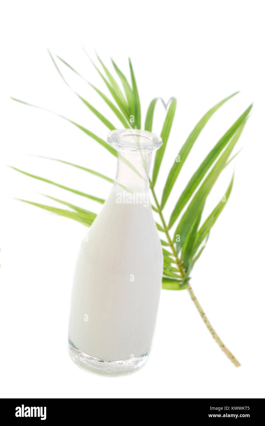 Latte in una bottiglia e in un bicchiere contro verde Palm tree leaf Foto Stock