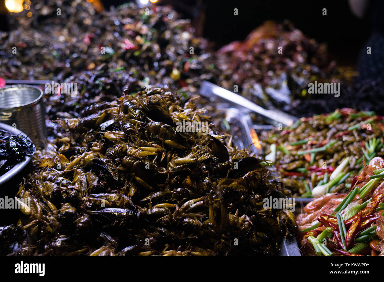Una bancarella vendendo la cucina asiatica cucina di strada, inclusi gli insetti fritti grilli scarafaggi gamberetti uova di quaglia in Phnom Penh Cambogia, Sud Est asiatico Foto Stock