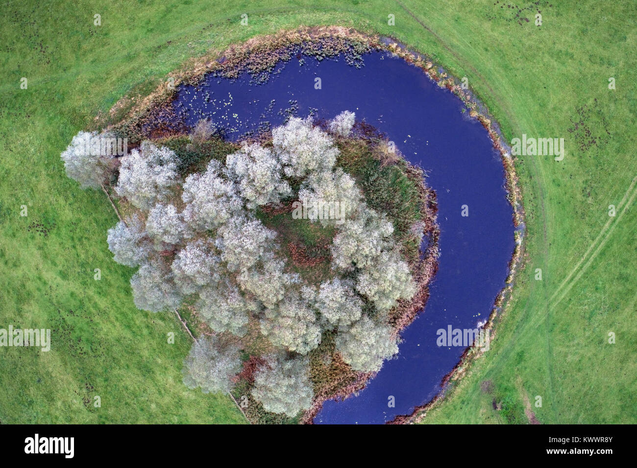 Fuchi vista del fiume Nene Valley, ricino village, Cambridgeshire; Inghilterra; Regno Unito Foto Stock