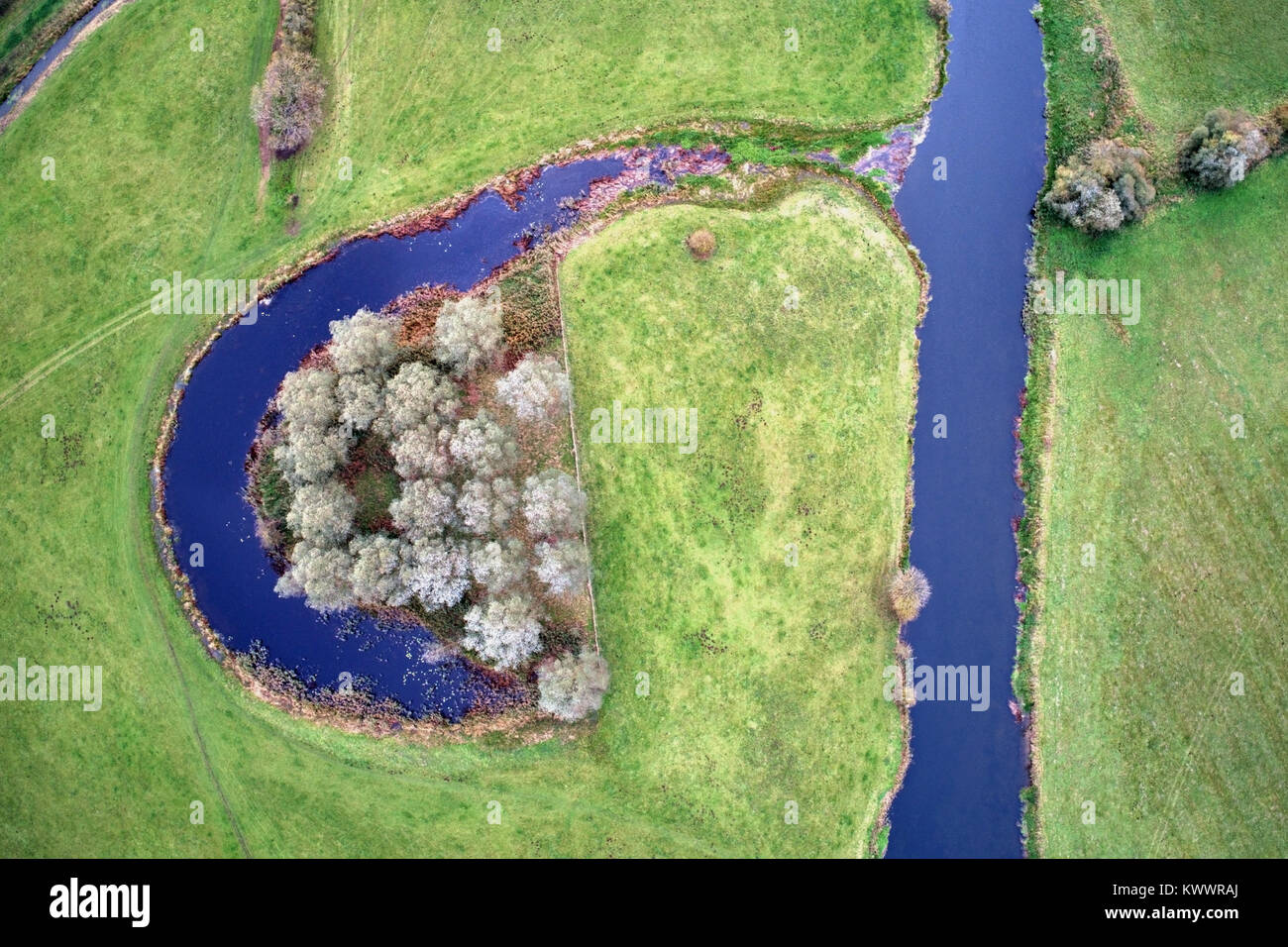 Fuchi vista del fiume Nene Valley, ricino village, Cambridgeshire; Inghilterra; Regno Unito Foto Stock