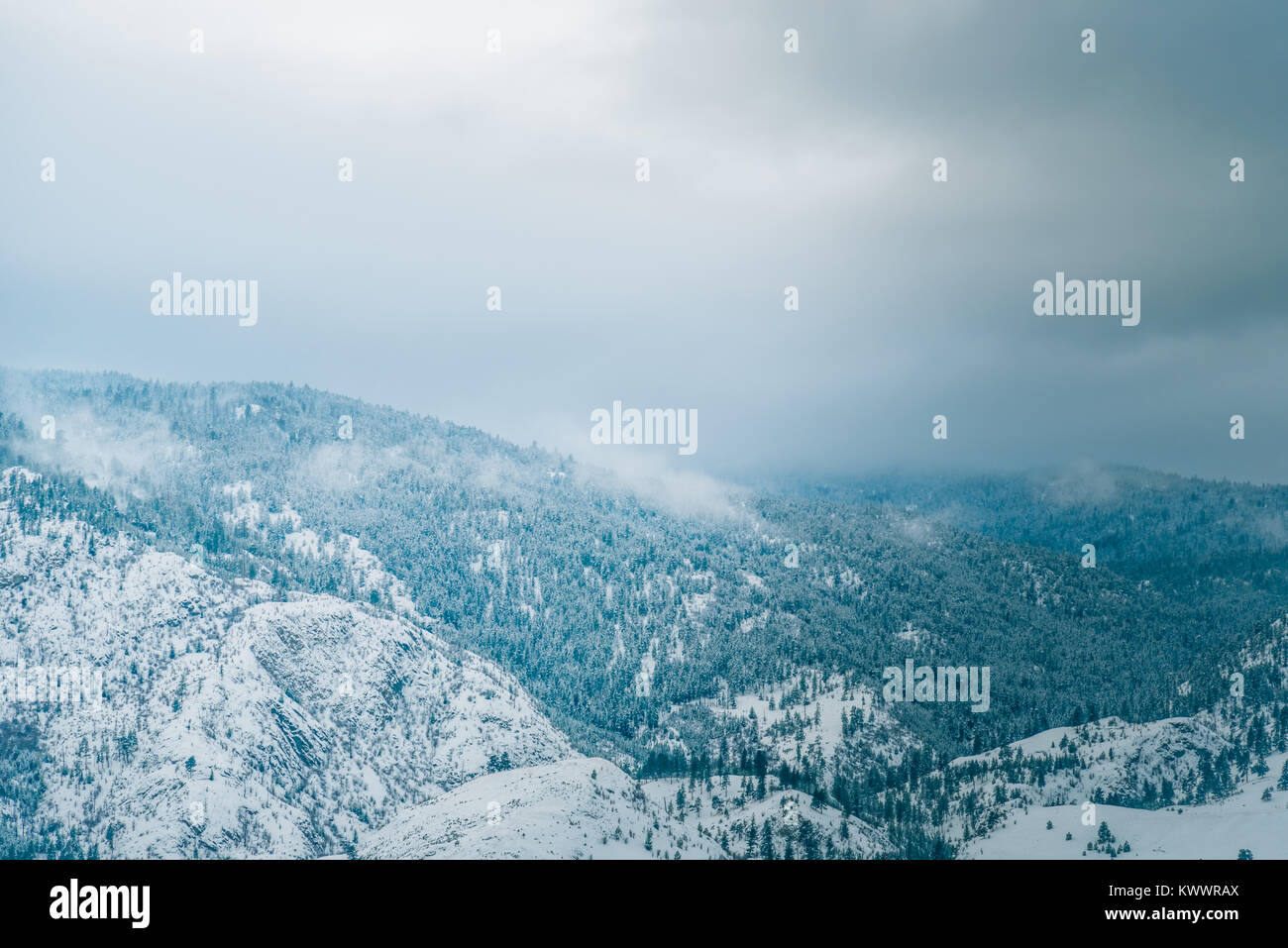 Boscoso, montagne coperte di neve fresca con cielo nuvoloso e nebbia in monocromia Foto Stock