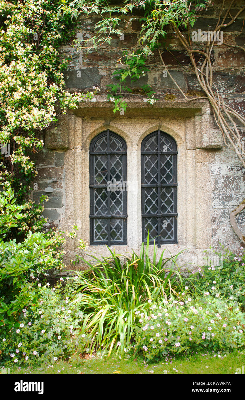 Un vecchio, finestra medievale circondata da piante rampicanti - Giovanni Gollop Foto Stock
